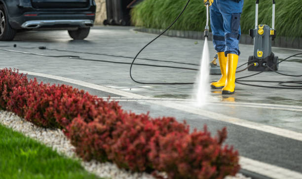 Best Driveway Pressure Washing  in Caddo Mills, TX